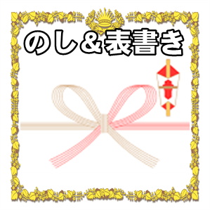陣中見舞いののしなど表書きの書き方や水引の選び方を解説